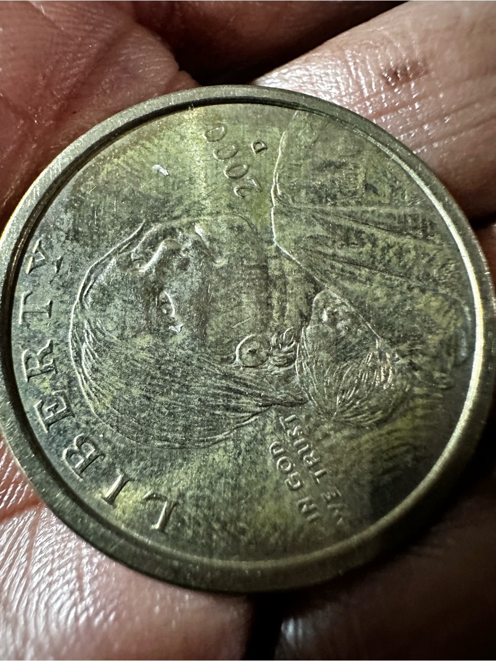 2000-D Sacagawea Golden Dollar

Beautiful U.S. collectible dollar coin featuring - Picture 9 of 10